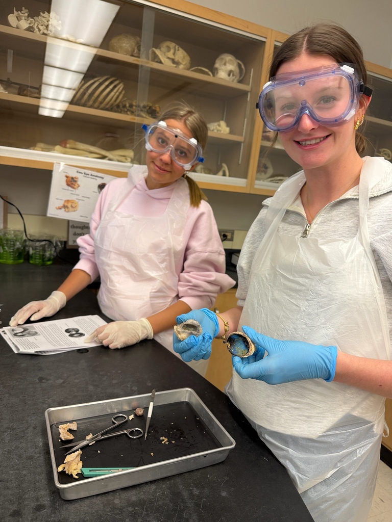 Honors Anatomy & Physiology