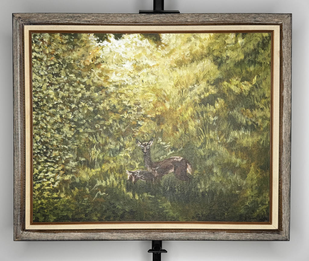 Art Display