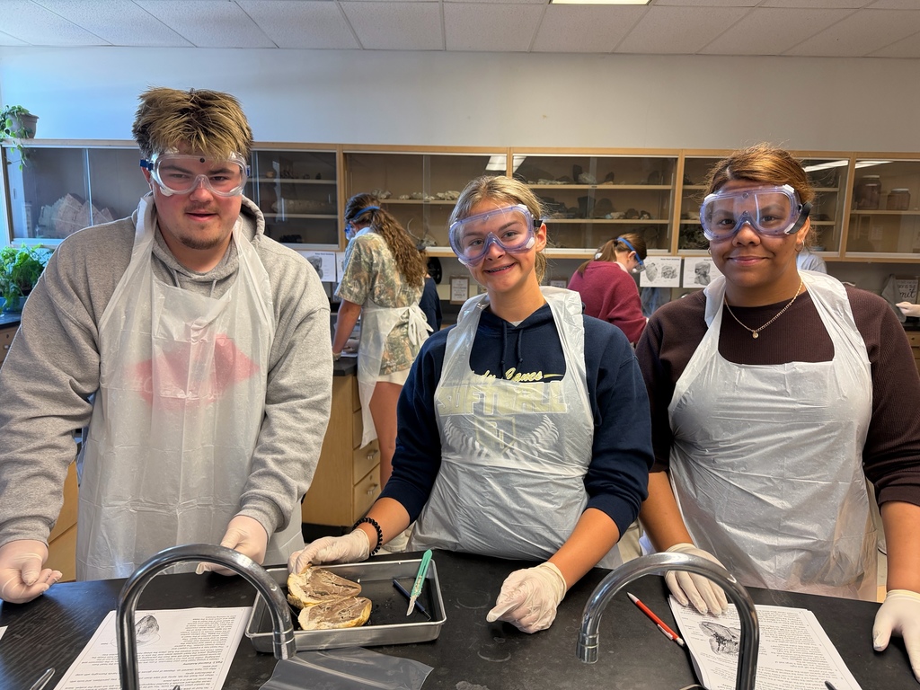 Anatomy and Physiology Honors students