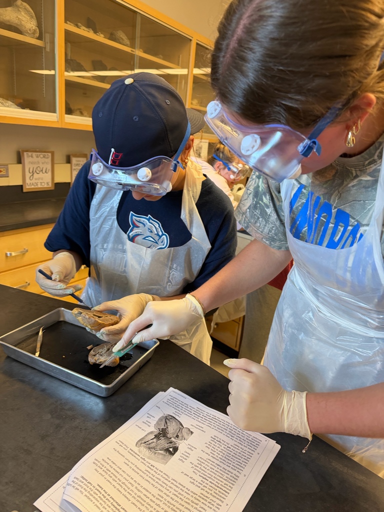 Anatomy and Physiology Honors students