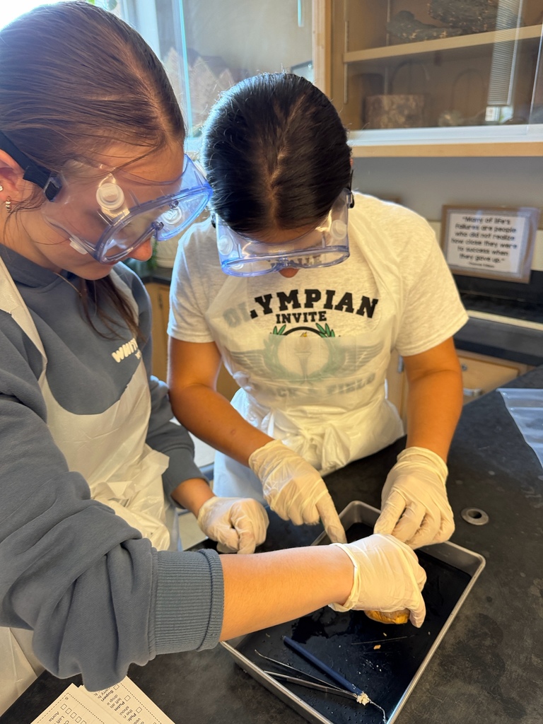 Anatomy and Physiology Honors students