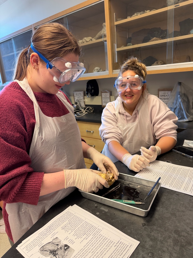 Anatomy and Physiology Honors students