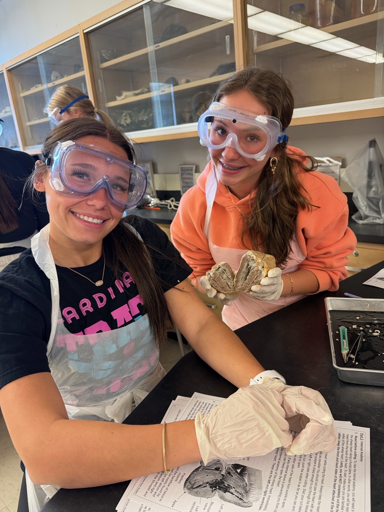 Anatomy and Physiology Honors students