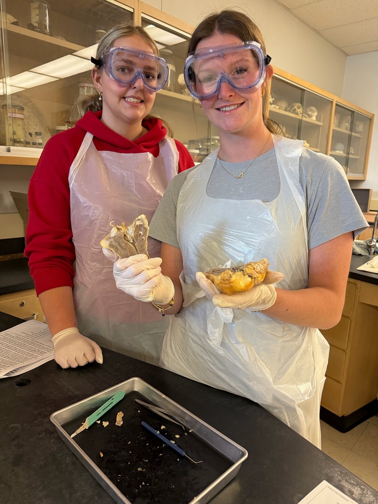 Anatomy and Physiology Honors students