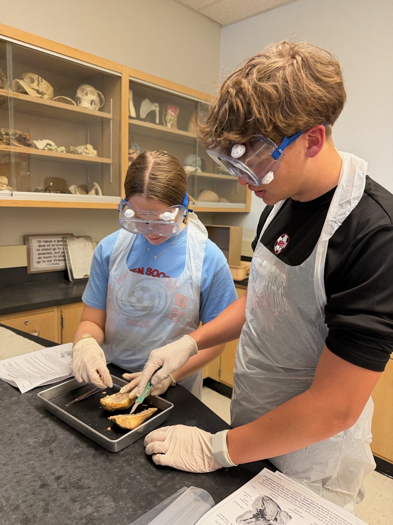 Anatomy and Physiology Honors students