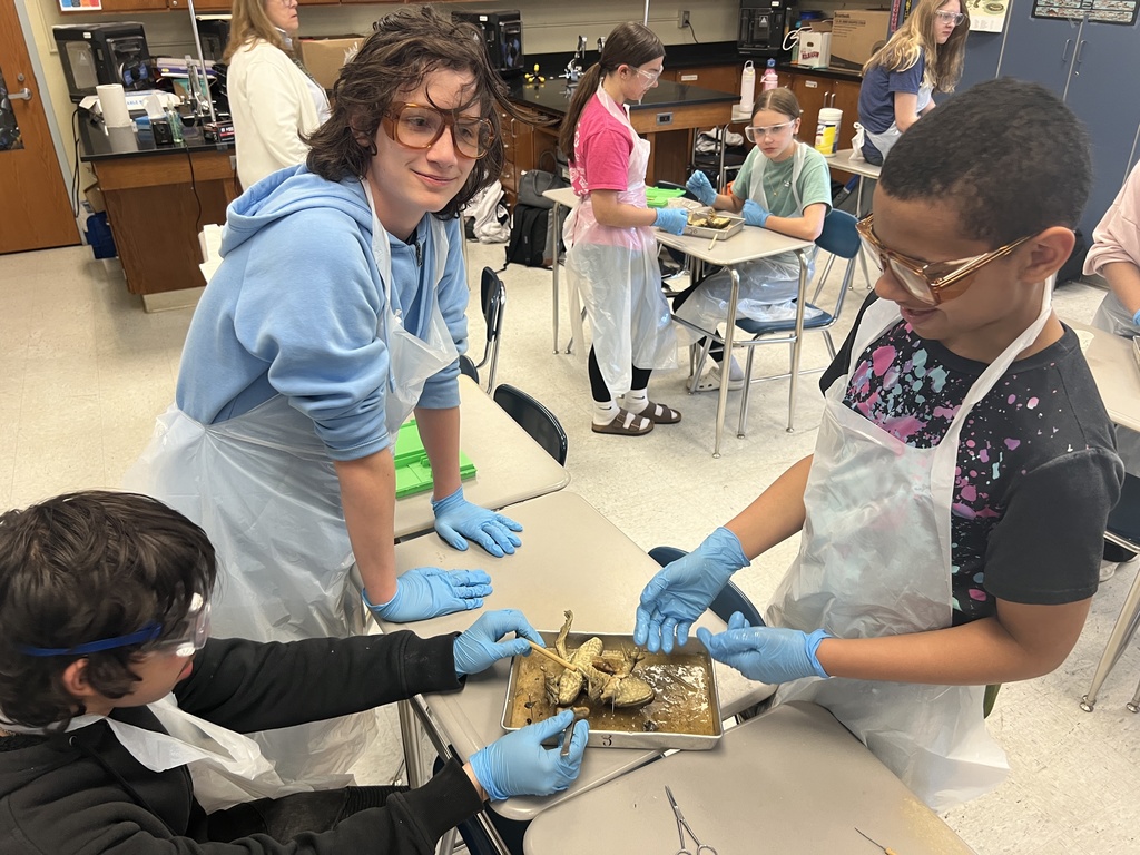 7th Grade Science
