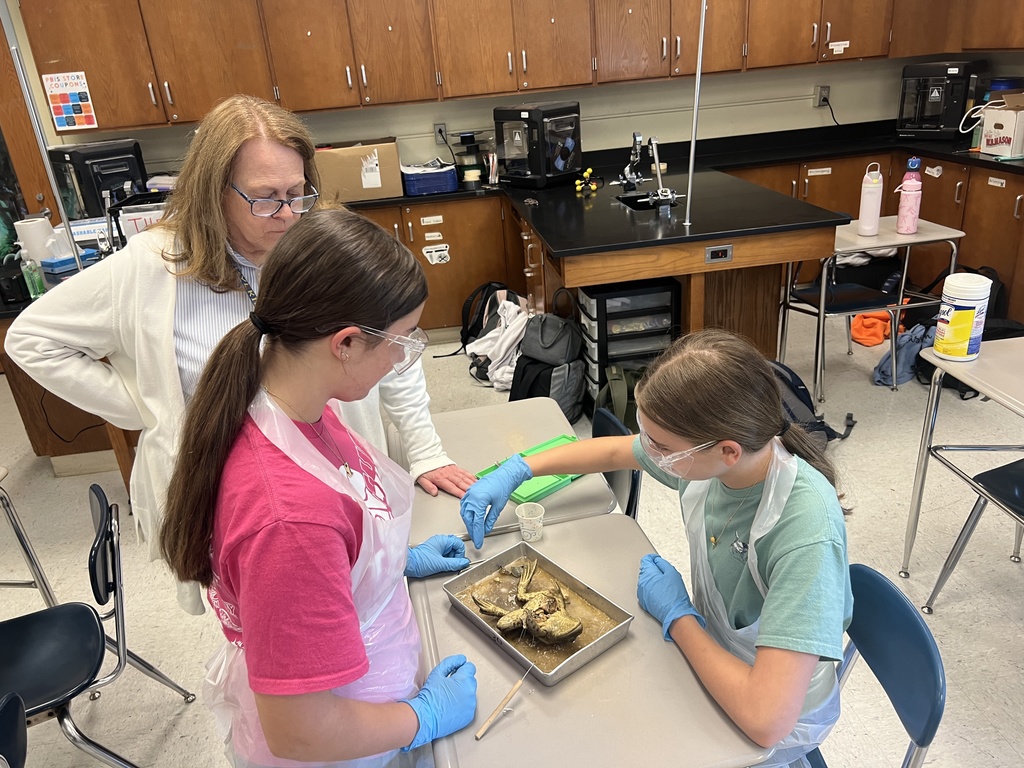 7th Grade Science