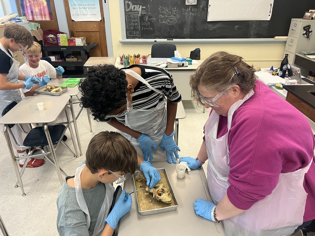 7th Grade Science