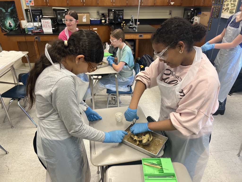 7th Grade Science