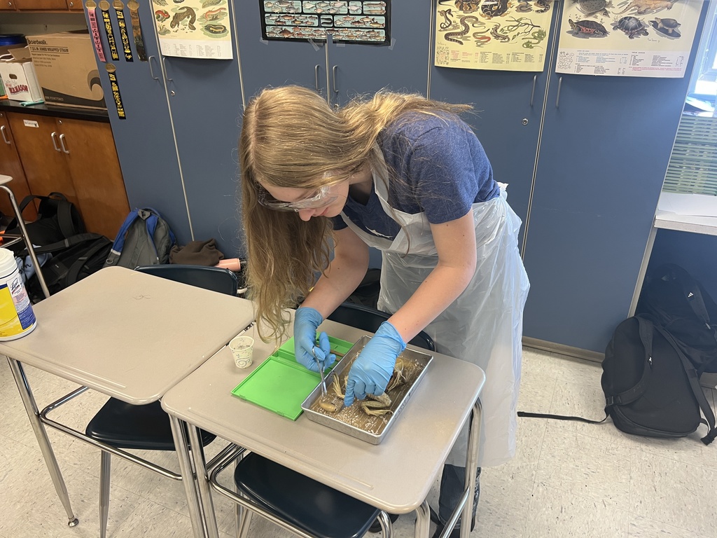 7th Grade Science