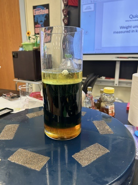 6th Grade Science