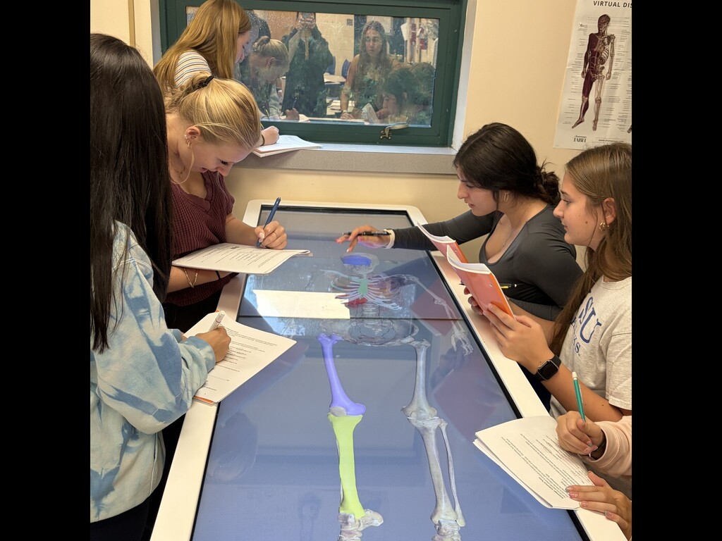 biomedical students at anatomage table