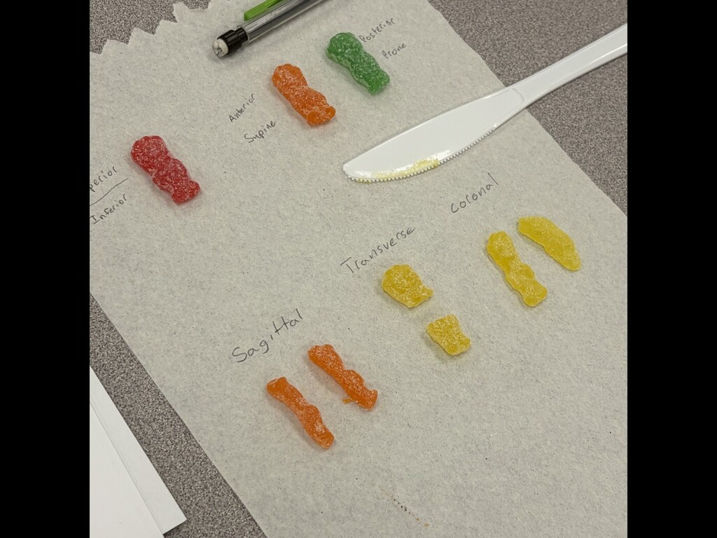 biomedical classwork