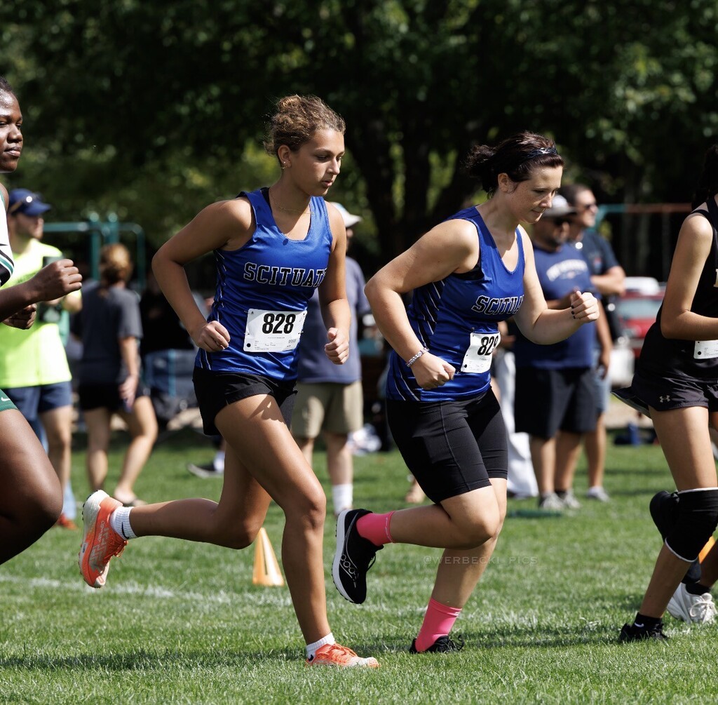 scituate cross country 