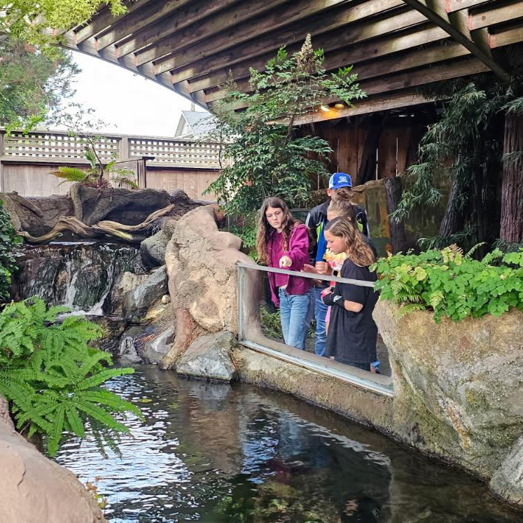 journaling at fish exhibit 