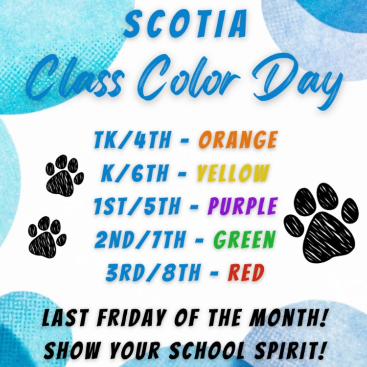 class colors day