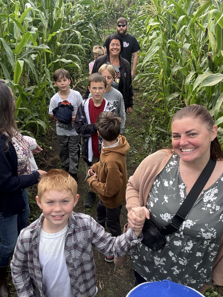 pumpkin patch
