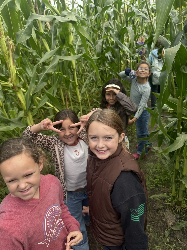 pumpkin patch