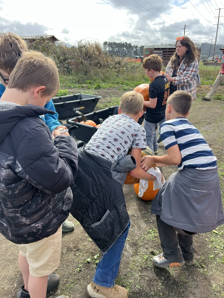 pumpkin patch