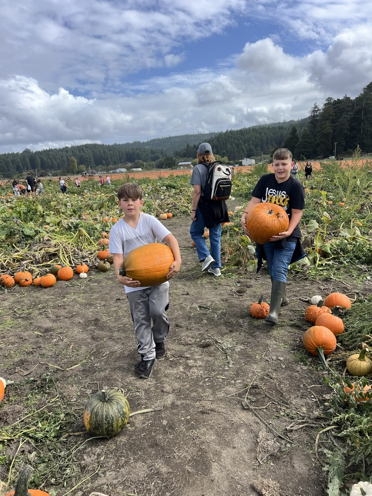 pumpkin patch
