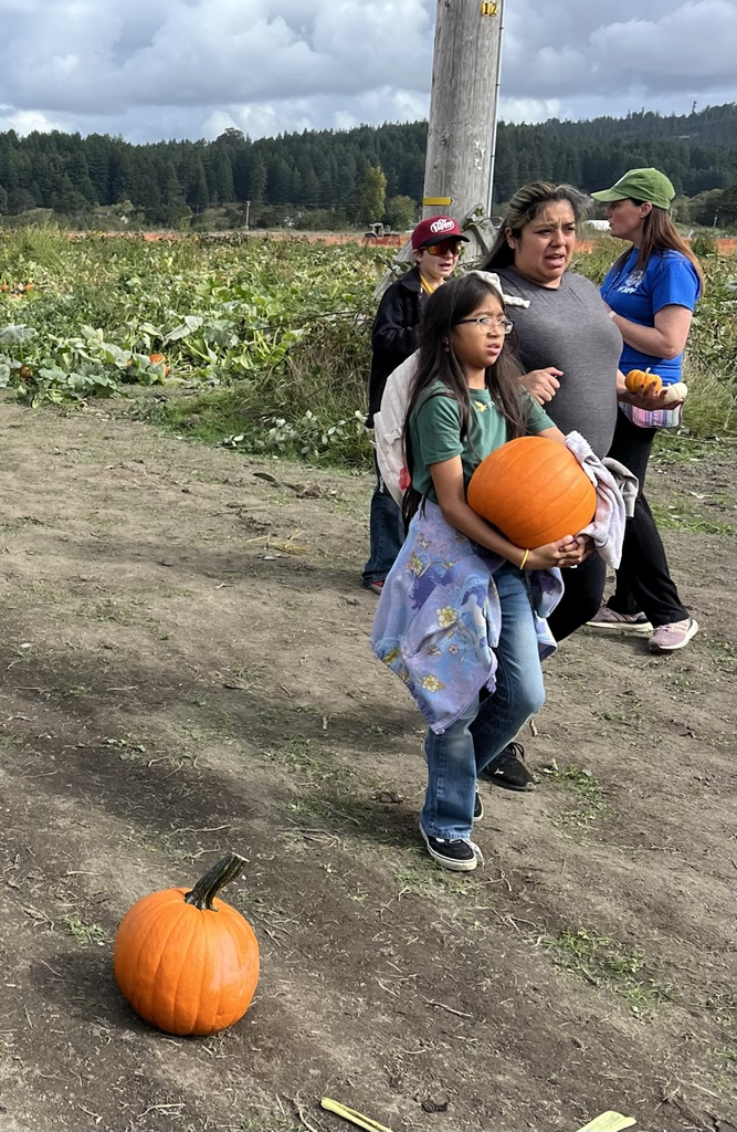 pumpkin patch