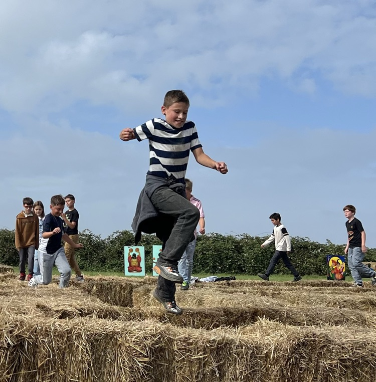 pumpkin patch