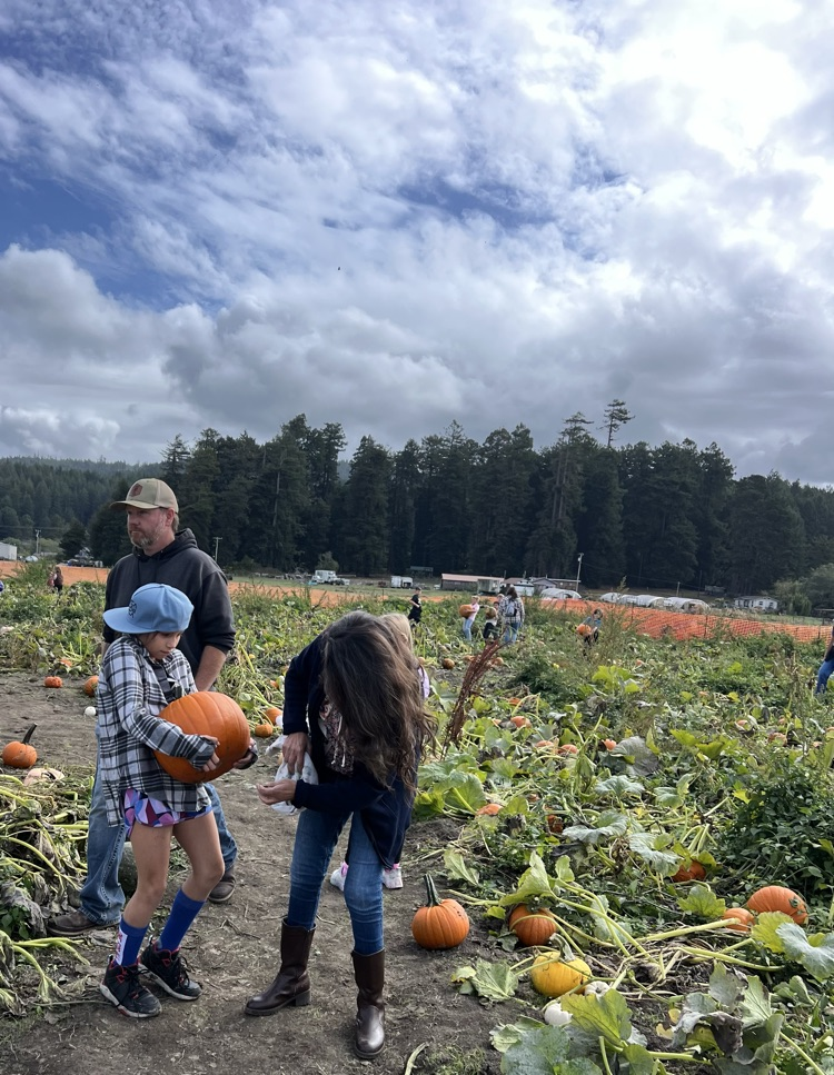pumpkin patch