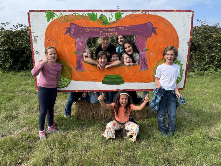 pumpkin patch