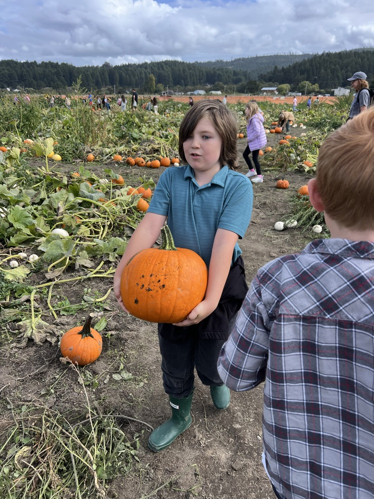 pumpkin patch