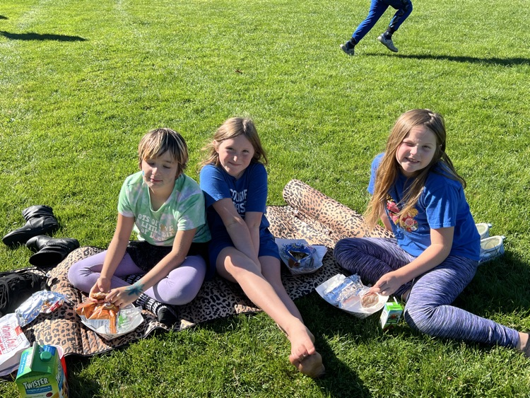 lunch on the lawn