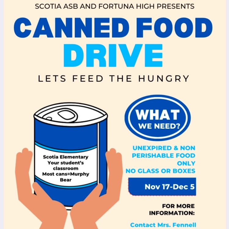 canned food drive