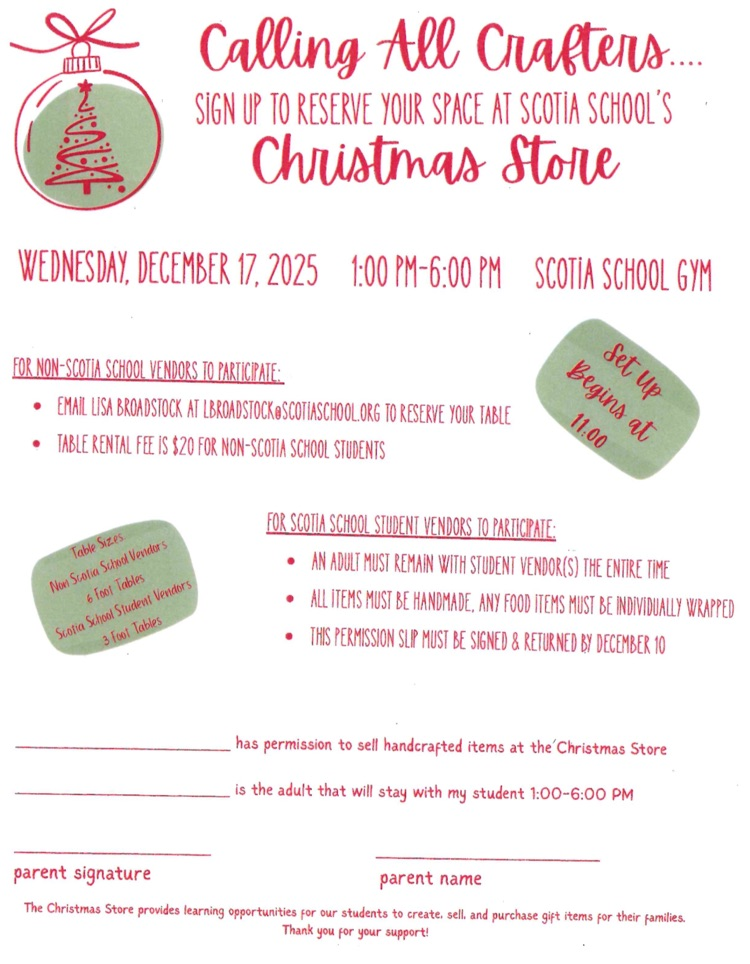 Christmas Store Flyer 