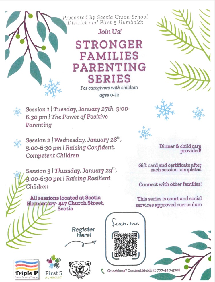 stronger families flyer