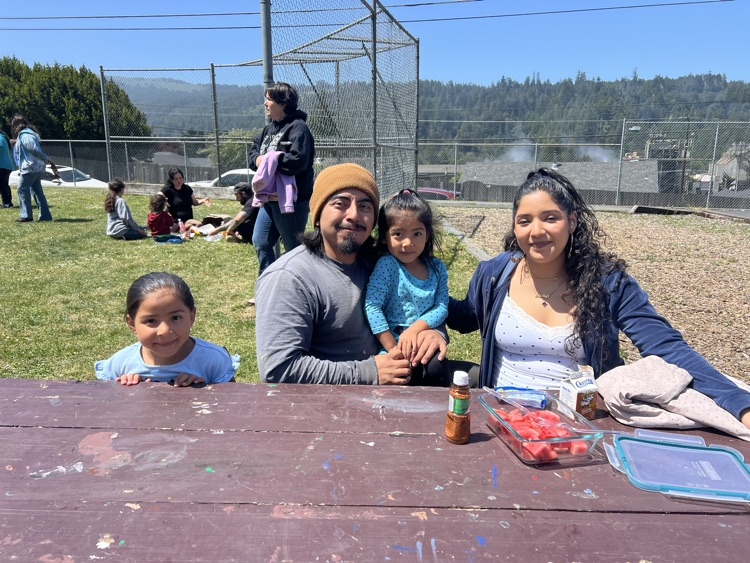 lunch on the lawn