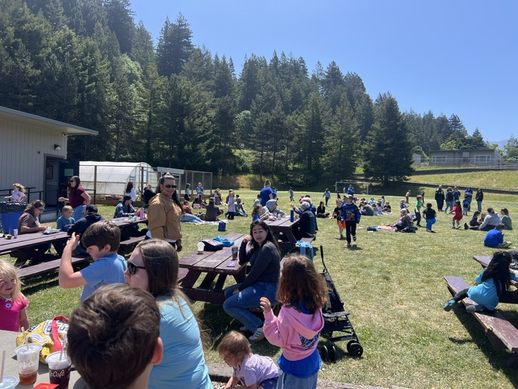 lunch on the lawn