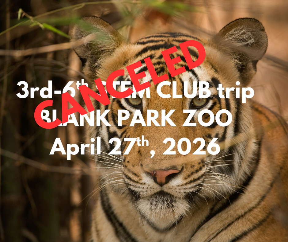 zoo