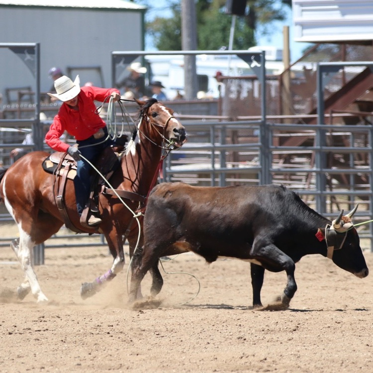 rodeo