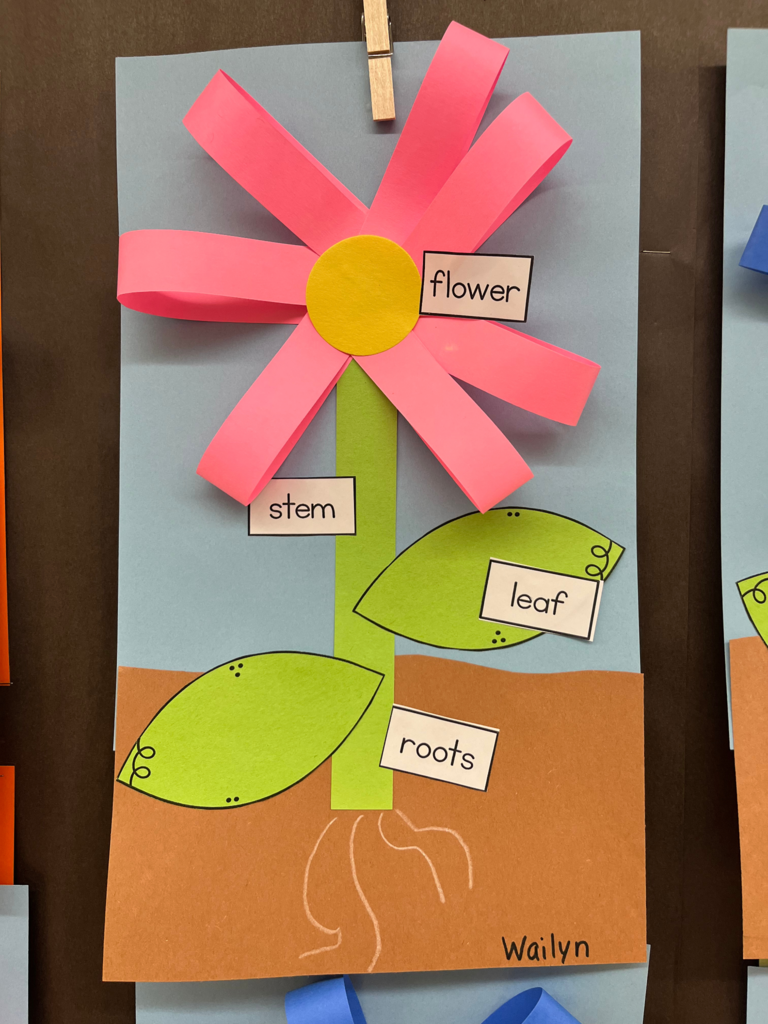 flowers