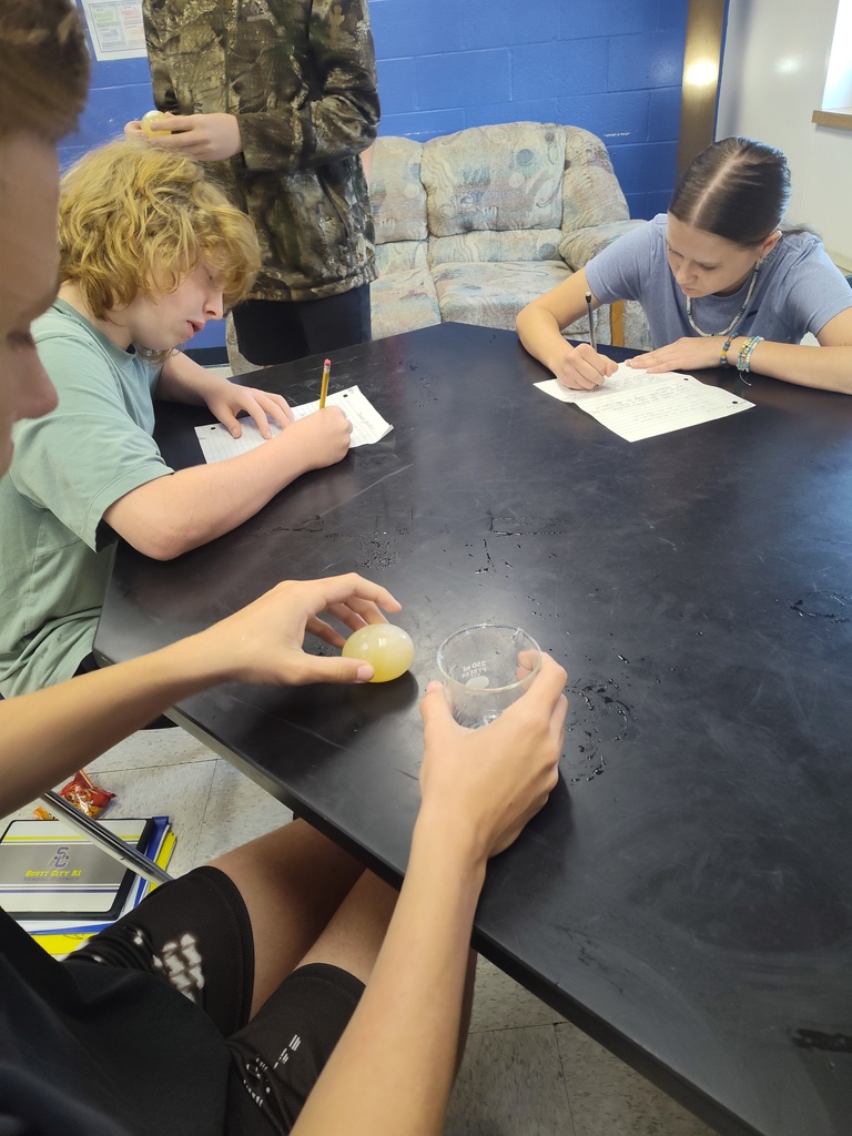 lab