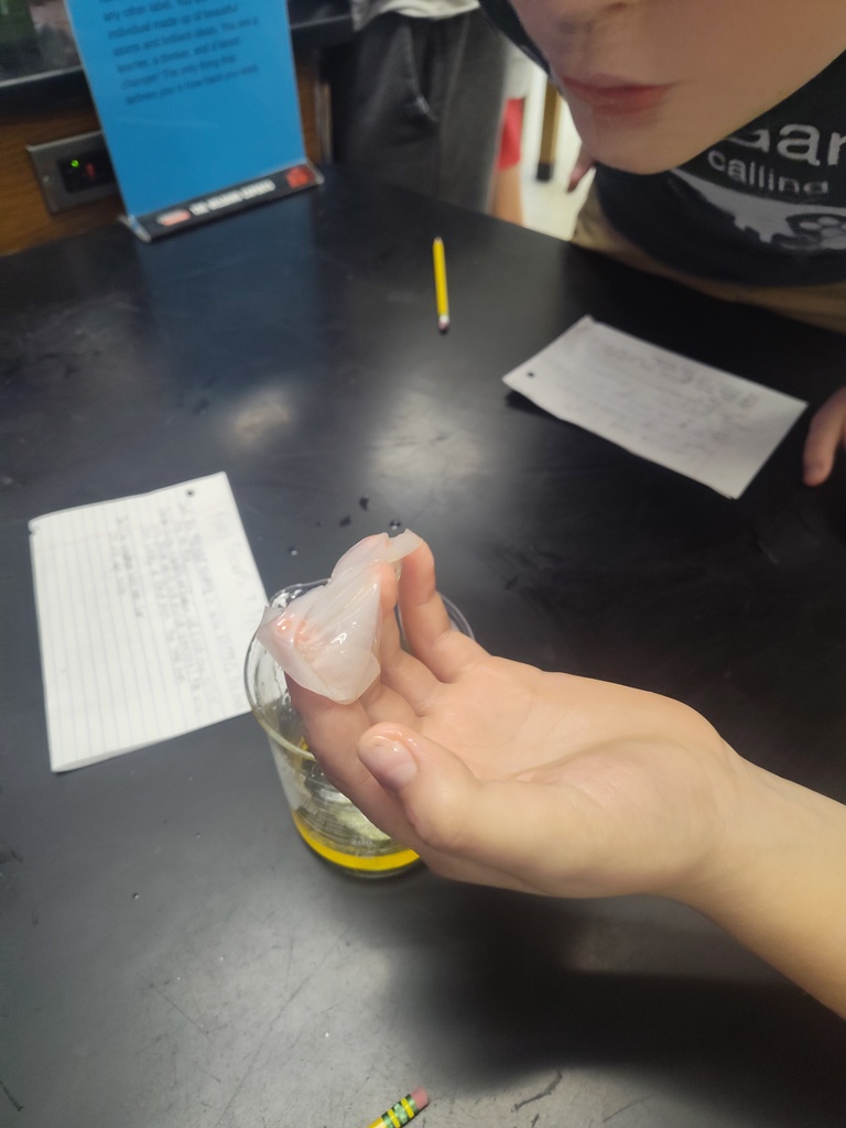 lab