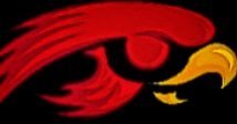 hawk