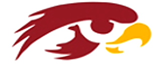 Hawk Logo