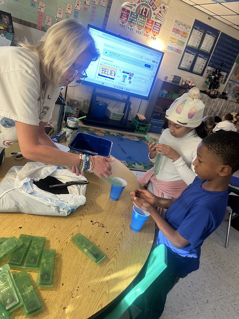 3rd grade planting cabbage plants