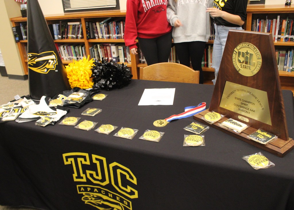 picture of awards sitting on a table with a black table cloth