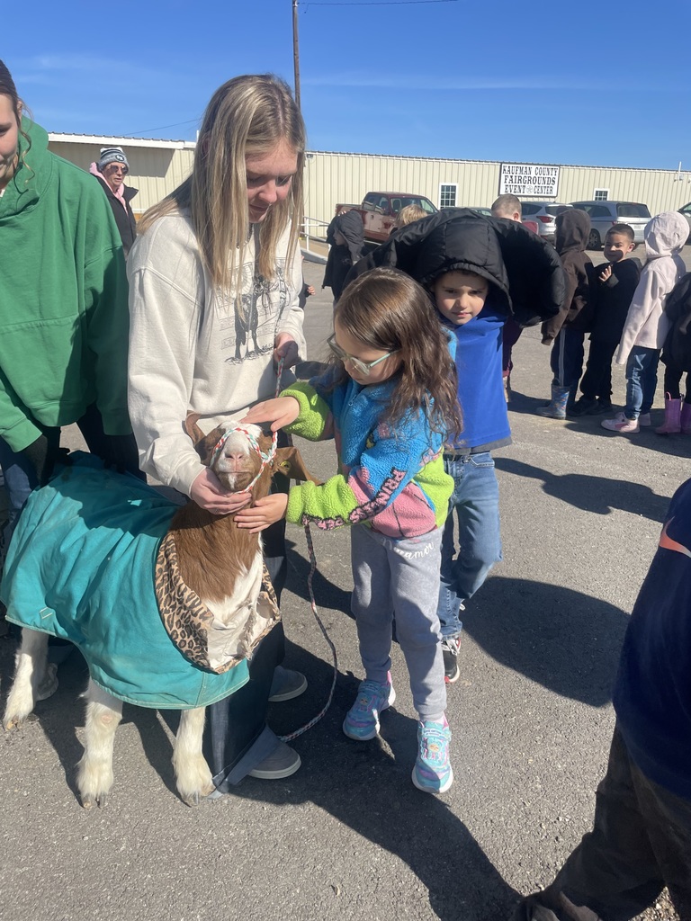 ag student holding a goat for another student to touch