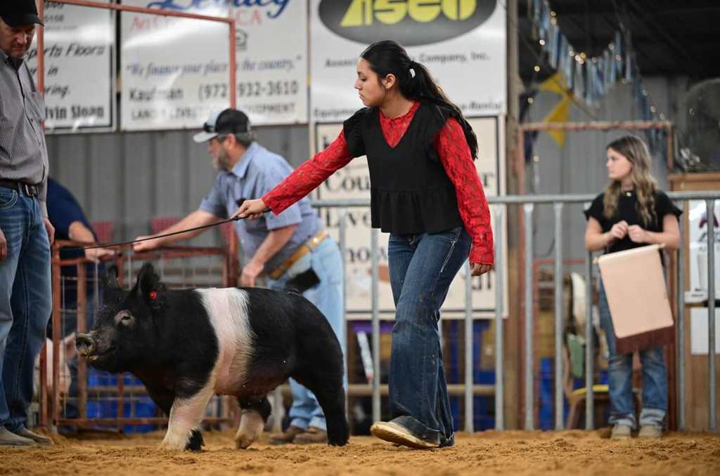 female student walking swine