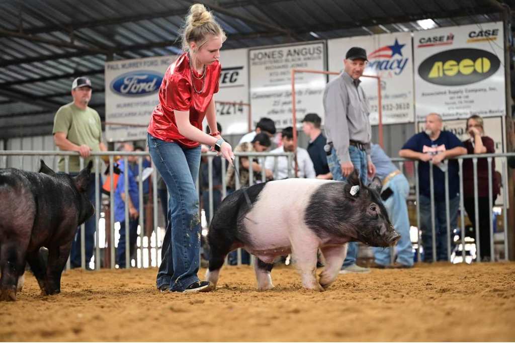 female student showing swine