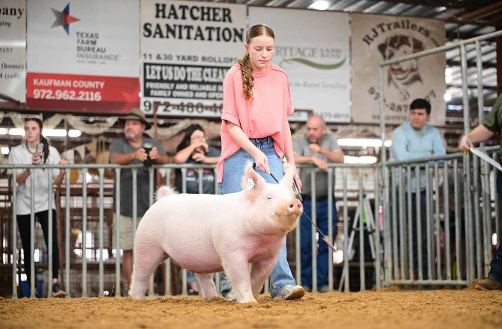 female student walking with swine