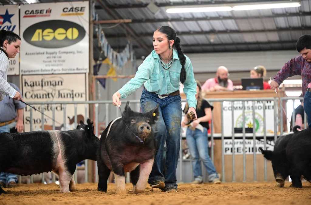 female student walking swine