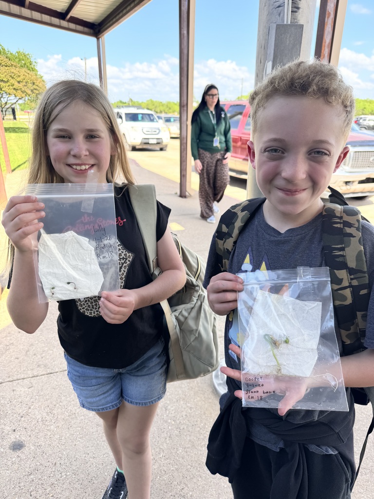 3rd grade students planting seeds
